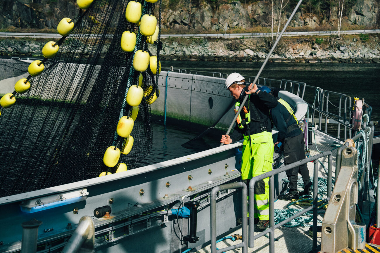 Aquafarm i Vindsvik